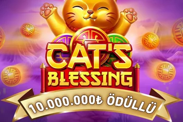 Cat's Blessing