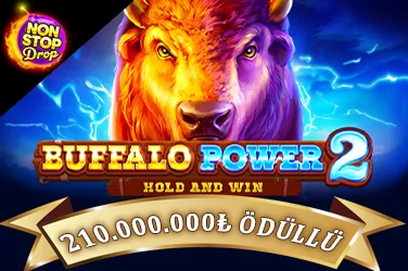 Buffalo Power 2: Hold and Win